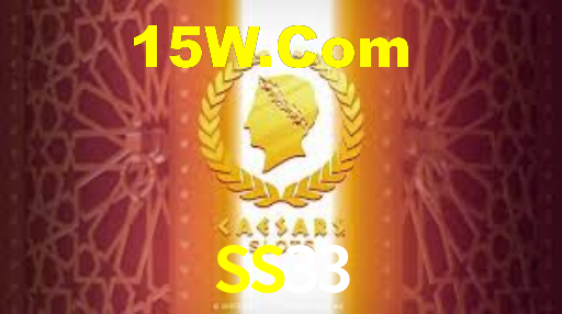 SS33