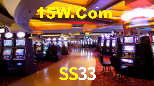 SS33