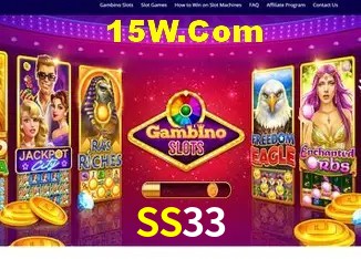 Ofertas Exclusivas SS33