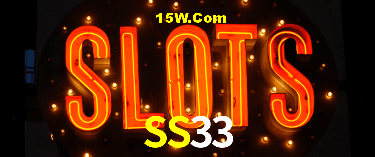 Security Systems SS33